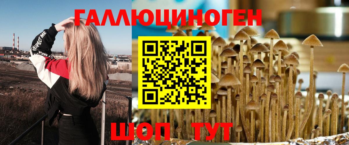 Псилоцибиновые грибы ЛСД  купить наркотики сайты  Чита  Вход с VPN 